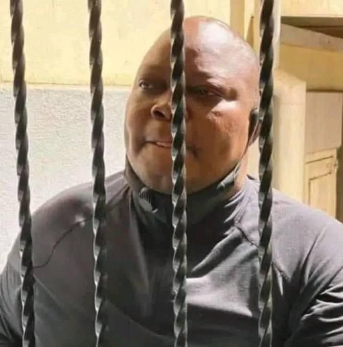 Job Sikhala in Prison