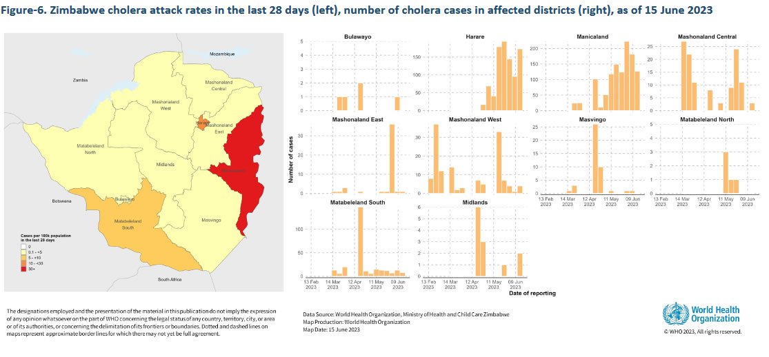 WHO Zimbabwe Graphic
