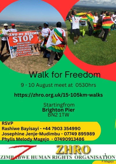 Walk Flyer
