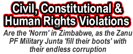 Zexit the separation of Zimbabwe from the Zanu PF regime